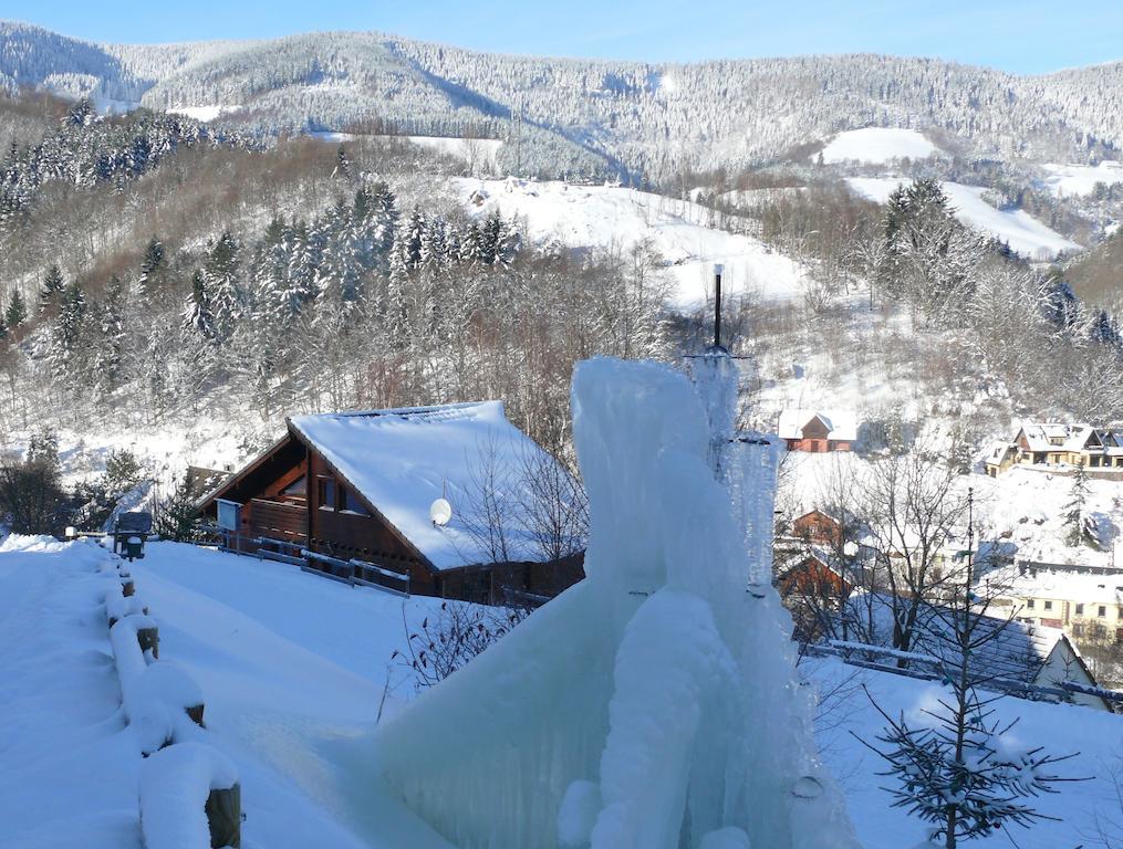 Les Myrtilles Le Bonhomme Habitación foto